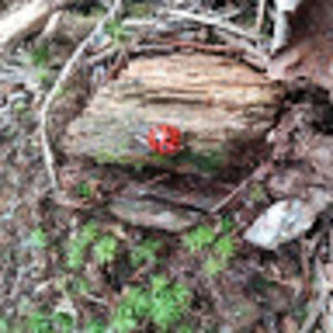 Meet your Posher, Karlen